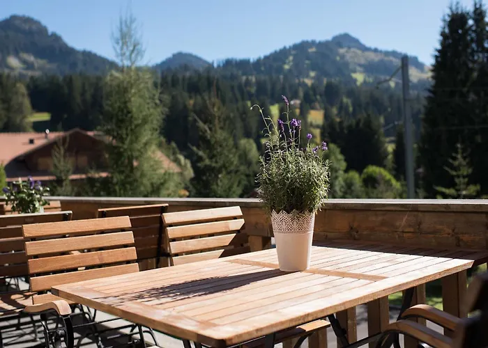 Hotel Des Alpes Superieur